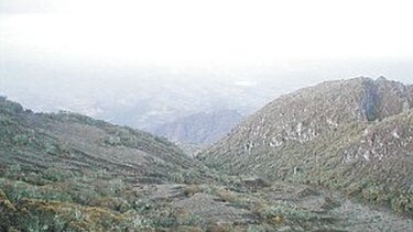 Sin vigilancia, sigue depredación del volcán Barú