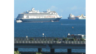 Cruceros en Amador
