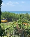 La resiliente y triste historia del humedal de San Carlos