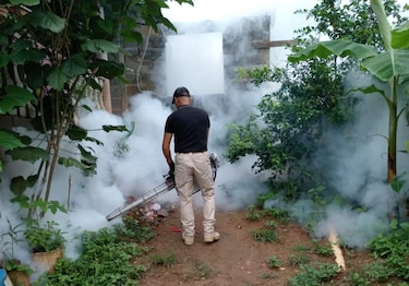 El dengue continúa abriéndose paso en Centroamérica