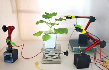  Tecnología y naturaleza:  robots-plantas
