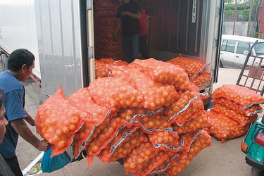 Aprueban importar cebolla