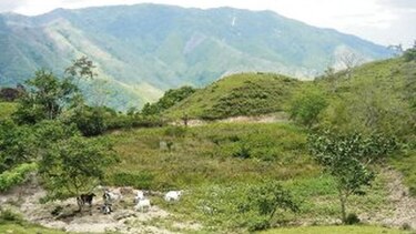 Proponen desarrollo turístico de la Poza Verde