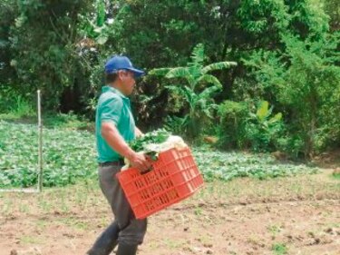 Productores siguen esperando prometida ayuda gubernamental