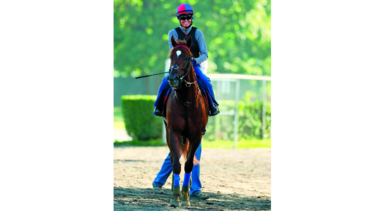 Un Belmont Stakes para cualquiera