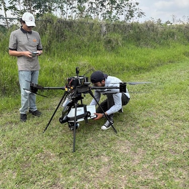 Los cerdos y los insectos que están ayudando a encontrar a los desaparecidos en México