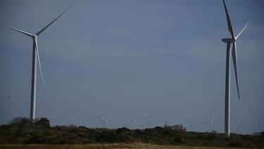 Luz verde para  eólica y solar