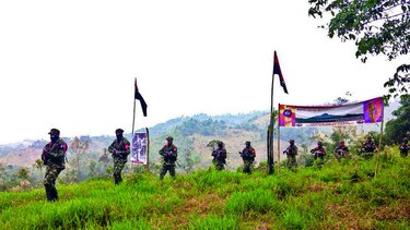ELN libera a gobernador e insiste en cese el fuego