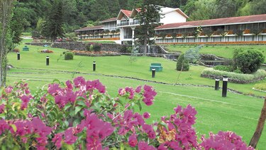Sector turismo pierde $200 millones