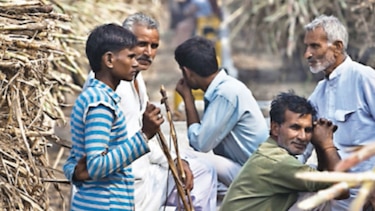 India proyecta caída en producción de azúcar