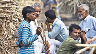 India proyecta caída en producción de azúcar