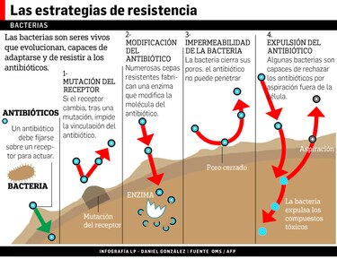 Bacterias muestran mayor resistencia a los antibióticos