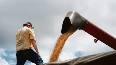 Apetito de China impulsa precios de la soya brasileña