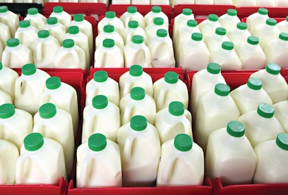 Productores de leche le piden al gobierno apelar fallo de la OMC para proteger la integridad sanitaria