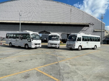 MiBus: 20 empresas muestran interés en licitación de 60 buses medianos