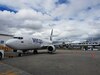 Wingo operará vuelos chárter desde Bogotá al aeropuerto de Río Hato