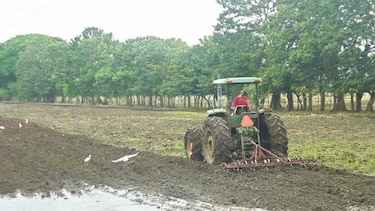 Definen hoja de ruta en plan de cambio climático para el agro