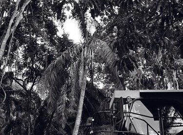 Libro de fotografías sobre la ampliación del Canal de Panamá