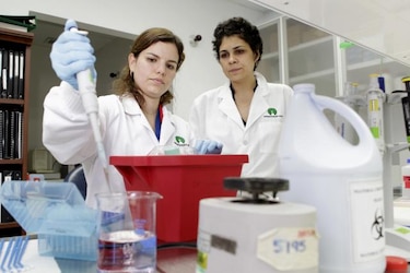OMS: Lucha contra la malaria avanza, pero la erradicación aún está lejos