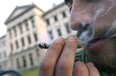 Cuestionan nexo entre fumar marihuana e inteligencia