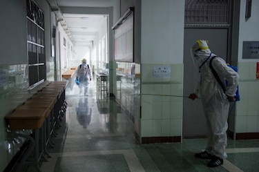 Una misión de la OMS va rumbo a China para iniciar las investigaciones que determinen el origen del coronavirus