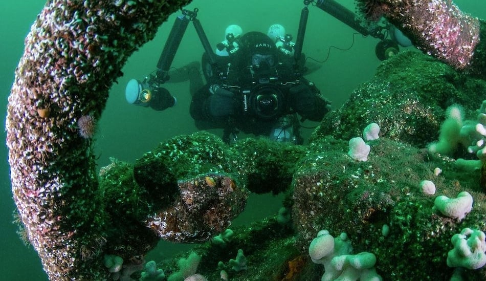 Estudio: Restos de embarcaciones protegen la vida marina de la pesca de arrastre