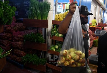 MIDA confirma la llegada de 20 mil quintales de cebolla importada