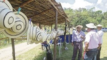 Tulú reclama paternidad del sombrero ‘pintao’