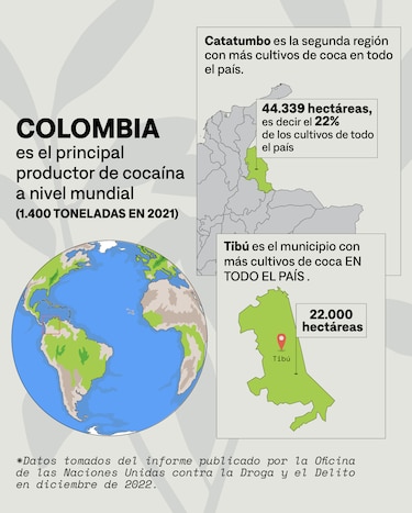 Los rostros del hambre tras la crisis de la coca en Colombia