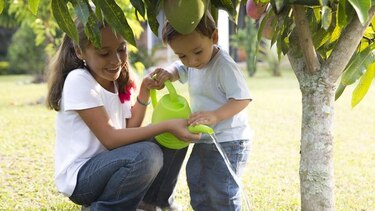 Educar por el medio ambiente