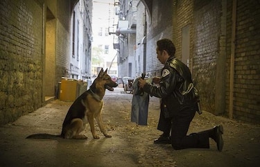 Pese a polémica, 'A Dog's Purpose' registra buen estreno