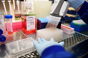Estados Unidos reporta la primera muerte por peste bubónica en 2025
