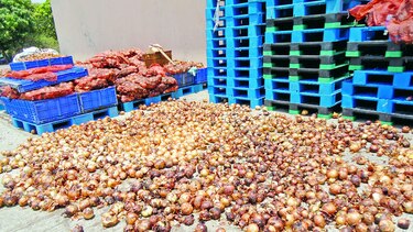 IMA aplicará nueva logística para evitar merma de víveres