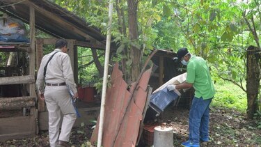 Autoridades reportan nuevo caso de virus hanta en Los Santos