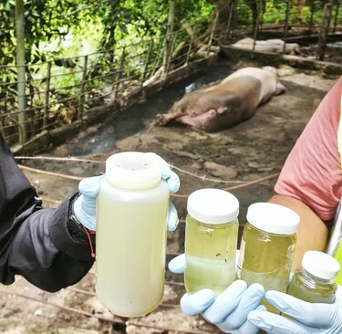 Agua del grifo en Azuero puede representar un riesgo para la piel y la salud general