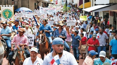 Cciap plantea que el sector agropecuario del país requiere de políticas estatales sostenibles