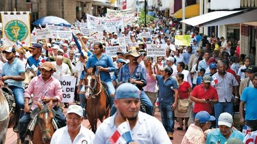 Cciap plantea que el sector agropecuario del país requiere de políticas estatales sostenibles