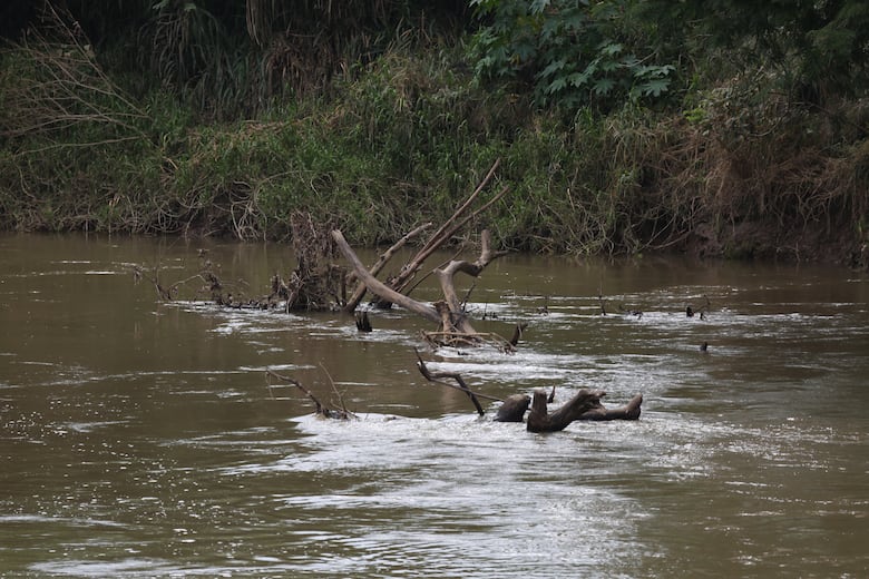 Defensoría revela ‘brechas graves’ en derechos humanos: educación, agua, salud y claridad sobre Bocas del Toro entre los pendientes