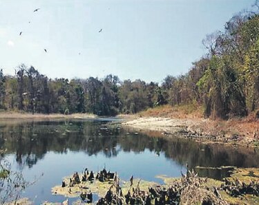Contadora, un oasis sin agua potable