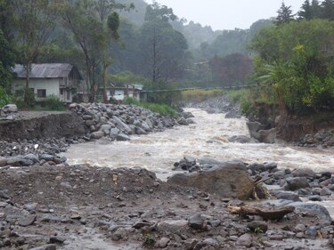 Lluvias provocaron la caída de árboles en Chiriquí; se mantiene la alerta verde preventiva