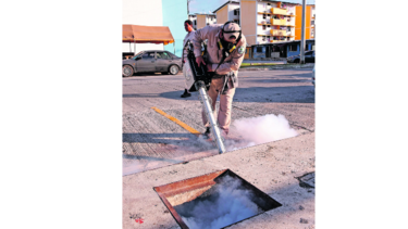 Minsa mantiene vigilancia por virus zika