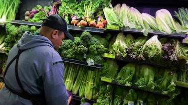 Claves para entender la alerta de la lechuga romana en Estados Unidos y las medidas en Panamá