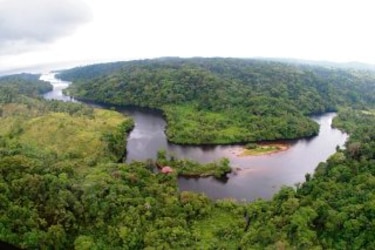 Ambientalistas solicitan el rescate del área de Donoso