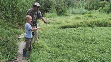 Revisarán fincas agroturísticas en Coclé