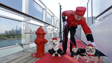 El crucero Queen Mary 2 tendrá nuevos servicios para perros