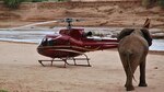 Dispositivos tecnológicos ayudan en la conservación de especies en peligro