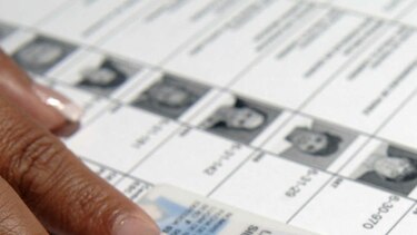 Informe del Tribunal Electoral: 393 expedientes por supuestos delitos en lo que va de 2016
