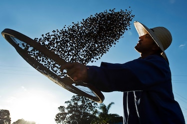 Kenia, Portugal y Colombia, donde el café es la estrella