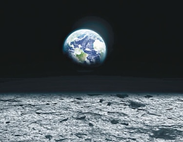 Podría haber tardígrados ‘indestructibles’ vivos en la Luna