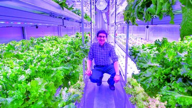 Cultivan vegetales en zona inhóspita de Alaska